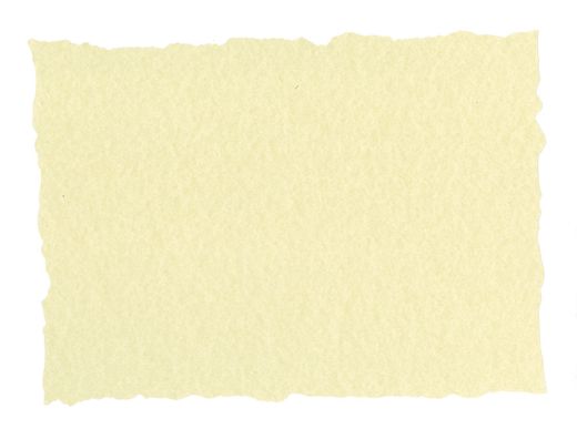 Papel Pergamino Din A4 Troquelado 125 Gr Piel Elefante Color Hueso Paquete de 25 Hojas