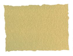 Papel Pergamino Din A4 Troquelado 125 Gr Piel Elefante Color Pergamino Paquete de 25 Hojas