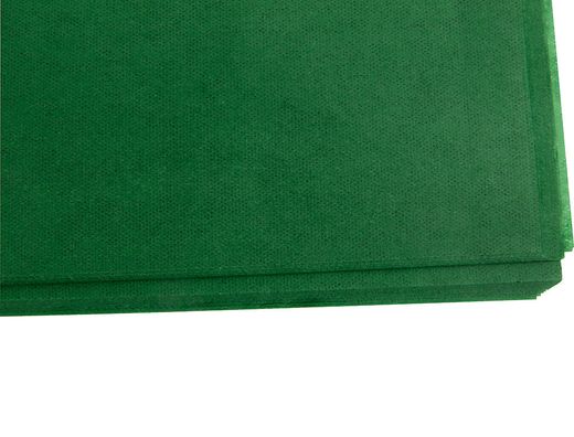 Papel Seda Liderpapel Verde Oscuro 52X76Cm 18 Gr/M2 Paquete de 25 Hojas