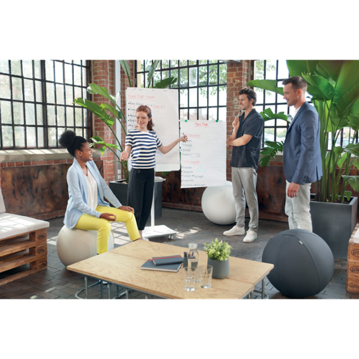 Pizarra de conferencia Move&Meet