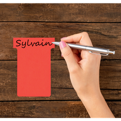 Planning: Fichas T NOBO (estuche 100) tamaño 3, rojo