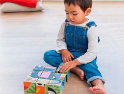 Puzle goula cubos de carton animales selva 6 escenas diferentes 9 piezas