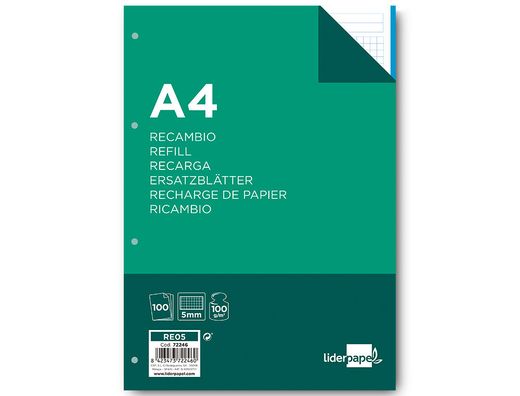 Recambio Liderpapel A4 100 Hojas 100 G/M2 Cuadro 5 mm 4 Taladros Bandas de 5 Colores