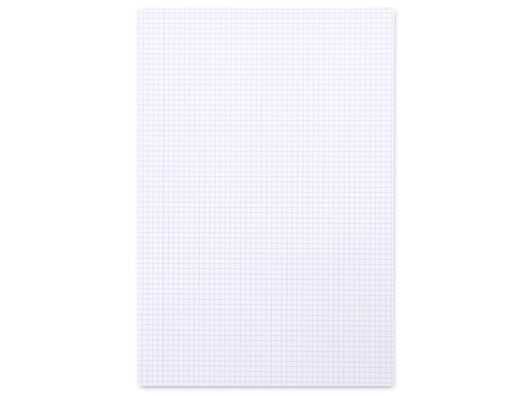 Recambio liderpapel a4 100 hojas 100g/m2 cuadro 3mm con margen 4 taladros