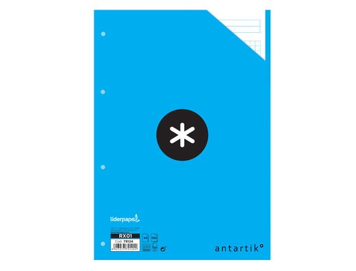 Recambio Liderpapel A4 100 Hojas 100G/M2 Cuadro 5 mm 4 Taladros Bandas de 5 Colores Antartik