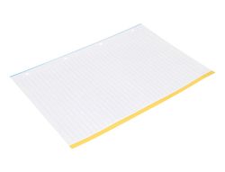 Recambio liderpapel a4 100 hojas 100g/m2 rayado horizontal 4 taladros bandas de 5 colores antartik