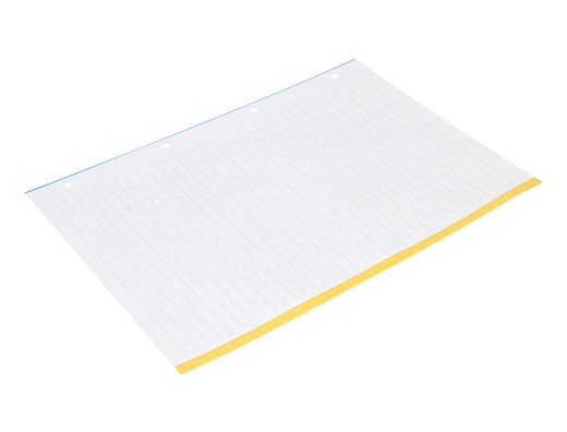 Recambio liderpapel a4 100 hojas 100g/m2 rayado horizontal 4 taladros bandas de 5 colores antartik