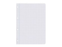 Recambio liderpapel A4 100 hojas 100gr cuadro 5mm con margen 4 taladros