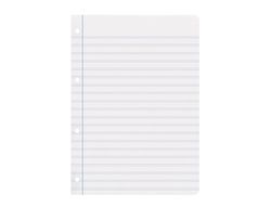 Recambio liderpapel A4 100 hojas 100gr pauta 3,5mm con margen 4 taladros
