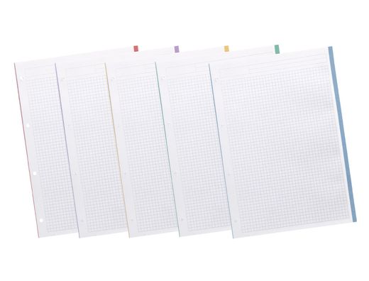 Recambio liderpapel A4 120 hojas 90gr cuadro 5 mm 4 taladros bandas de 5 colores pasteles