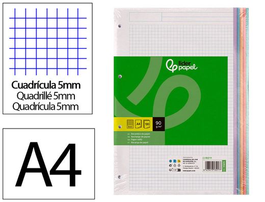 Recambio liderpapel A4 120 hojas 90gr cuadro 5 mm 4 taladros bandas de 5 colores pasteles