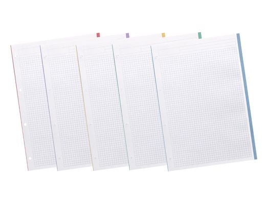 Recambio liderpapel a4 200+50 hojas 90g/m2 cuadro 5 mm 4 taladros bandas de 5 colores