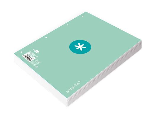 Recambio liderpapel a4 antartik 80 hojas 90g/m2 cuadro 5 mm 4 taladros 1 banda marco color menta