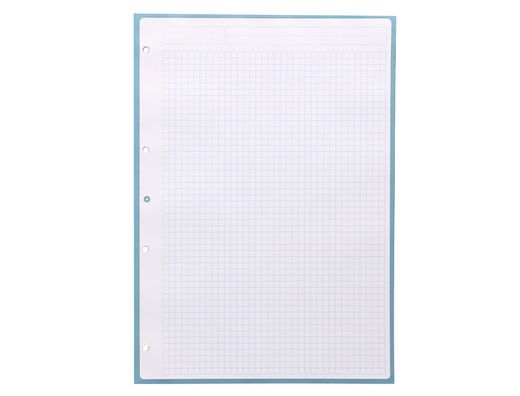 Recambio liderpapel a4 antartik 80 hojas 90g/m2 cuadro 5mm 4 taladros 1 banda con marco color celeste