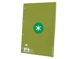 Recambio liderpapel a4 antartik 80 hojas 90g/m2 cuadro 5mm 4 taladros 1 banda con marco color verde