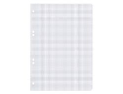 Recambio liderpapel A5 100 hojas 75gr cuadro 4mm con margen 6 taladros