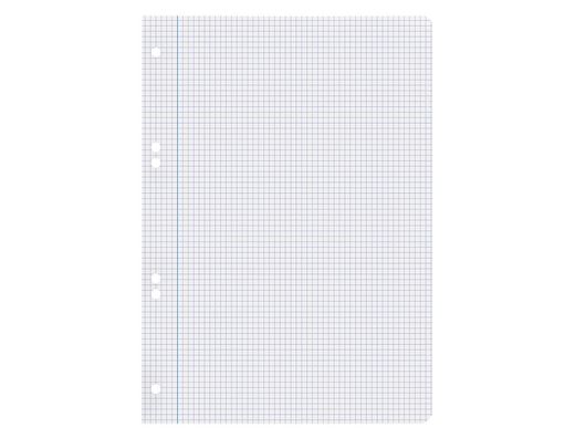 Recambio liderpapel A5 100 hojas 75gr cuadro 4mm con margen 6 taladros