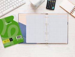 Recambio liderpapel A5 100 hojas 75gr cuadro 4mm con margen 6 taladros
