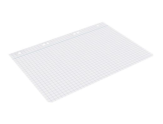 Recambio liderpapel din A5 100 hojas 75 gr cuadro 8mm con margen 6 taladros