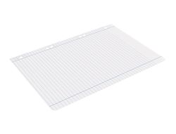 Recambio liderpapel din A5 100 hojas 75 gr horizontal con margen 6 taladros
