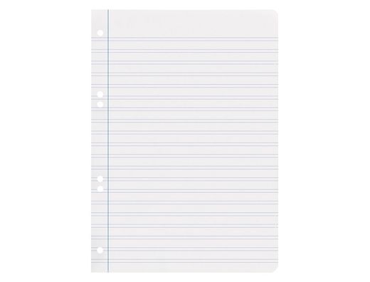 Recambio liderpapel A5 100 hojas 75gr pauta 5 2.5mm con margen 6 taladros