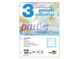 Recambio Liderpapel Cuarto Pautaguia 100 Hojas 70 G Cuadriculado Pautado 3 mm con Margen 6 Taladros
