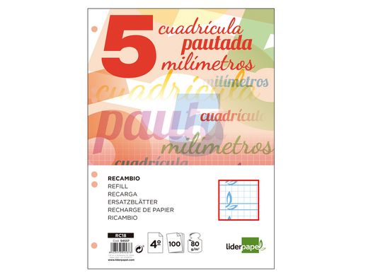 Recambio Liderpapel Cuarto Pautaguia 100 Hojas 80 G Cuadriculado Pautado 4 mm con Margen 6 Taladros