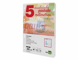 recambio liderpapel cuarto pautaguia 100 hojas 75 g cuadriculado pautado 5 mm con margen 6 taladros
