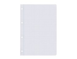 Recambio liderpapel din A4 100 hojas 75 gr cuadro 3 mm con margen 4 taladros