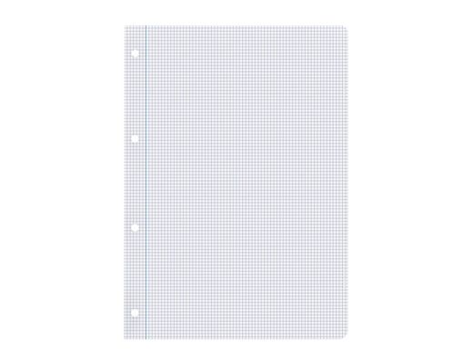 Recambio liderpapel din A4 100 hojas 75 gr cuadro 3 mm con margen 4 taladros
