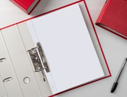 Recambio liderpapel din A4 100 hojas 75 gr cuadro 3 mm con margen 4 taladros