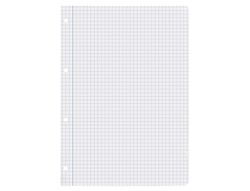 Recambio liderpapel A4 100 hojas 75gr cuadro 6mm 4 taladros con margen