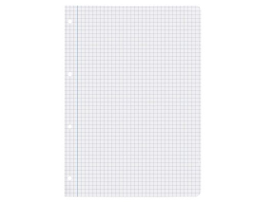 Recambio liderpapel A4 100 hojas 75gr cuadro 6mm 4 taladros con margen