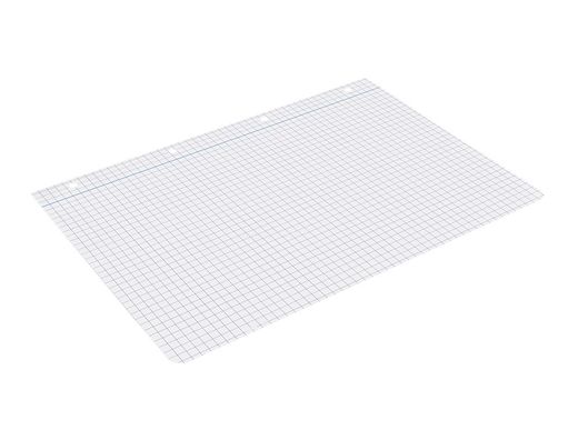 Recambio liderpapel A4 100 hojas 75gr cuadro 6mm 4 taladros con margen
