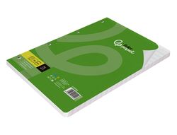 Recambio liderpapel A4 100 hojas 75gr cuadro 8mm con margen 4 taladros