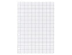Recambio liderpapel A4 100 hojas 75gr cuadro 8mm con margen 4 taladros