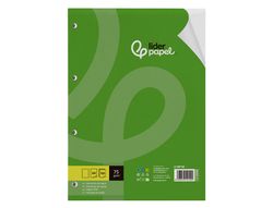 Recambio liderpapel A4 100 hojas 75gr liso sin margen 4 taladros