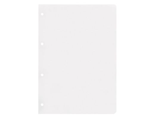 Recambio liderpapel A4 100 hojas 75gr liso sin margen 4 taladros