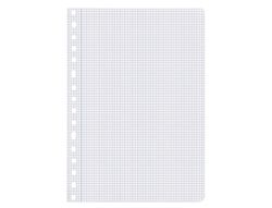 Recambio liderpapel A4 100 hojas 75gr cuadro 4mm con margen 16 taladros