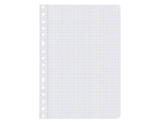 Recambio liderpapel A4 100 hojas 75gr cuadro 4mm con margen 16 taladros