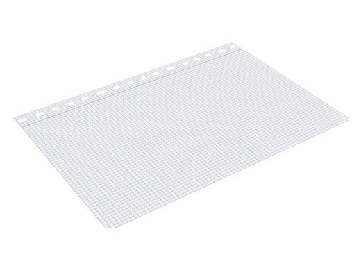 Recambio liderpapel A4 100 hojas 75gr cuadro 4mm con margen 16 taladros