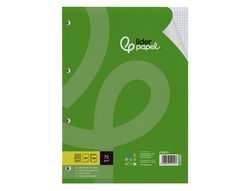 Recambio liderpapel A4 100 hojas 75gr cuadro 4mm con margen 4 taladros