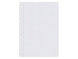 Recambio liderpapel A4 100 hojas 75gr cuadro 4mm con margen 4 taladros