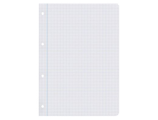 Recambio liderpapel A4 100 hojas 75gr cuadro 4mm con margen 4 taladros
