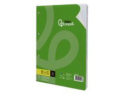Recambio liderpapel A4 100 hojas 75gr milimetrado 2 mm sin margen 4 taladros