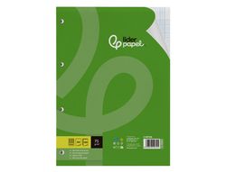 Recambio liderpapel A4 100 hojas 75gr milimetrado 2 mm sin margen 4 taladros
