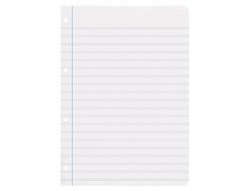 Recambio liderpapel A4 100 hojas 75gr pauta 5 2.5mm con margen 4 taladros