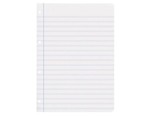 Recambio liderpapel A4 100 hojas 75gr pauta 5 2.5mm con margen 4 taladros