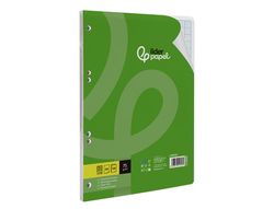 Recambio liderpapel A4 100 hojas 75gr rayado nş46 4 taladros
