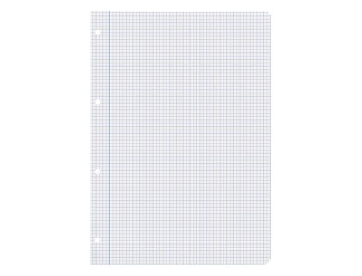 Recambio liderpapel A4 80 hojas 75gr cuadro 4 mm con margen 4 taladros